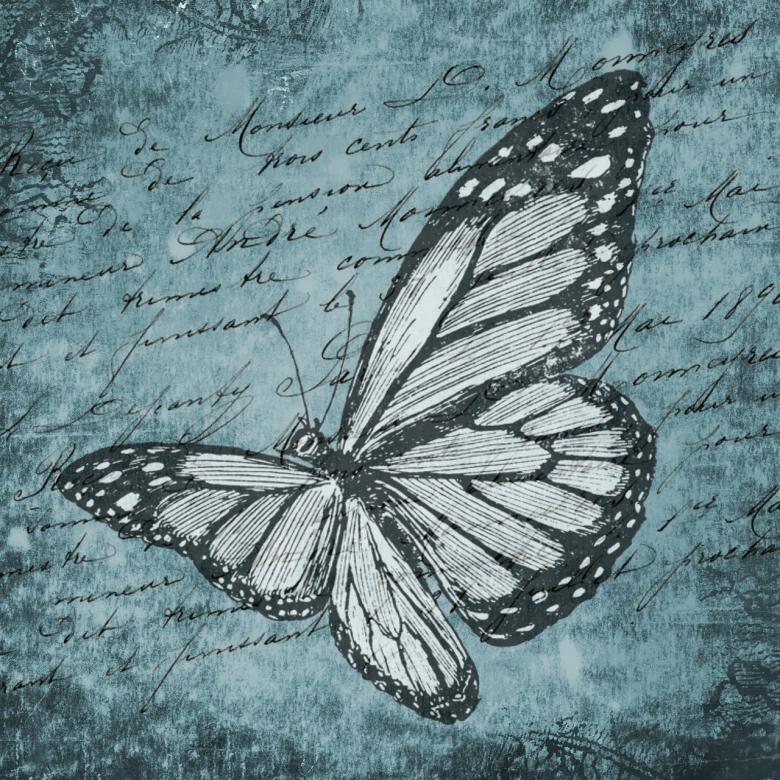 Free stock image of Wild Butterfly with Blue Background created by Pixabay