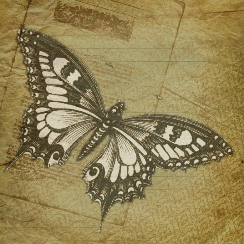 Free stock image of Butterfly created by Pixabay