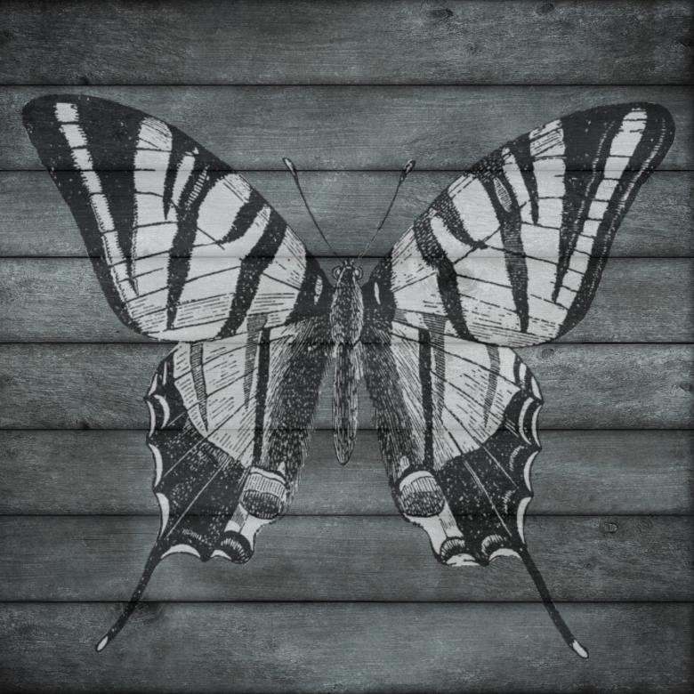 Free stock image of Printed on Wood created by Pixabay