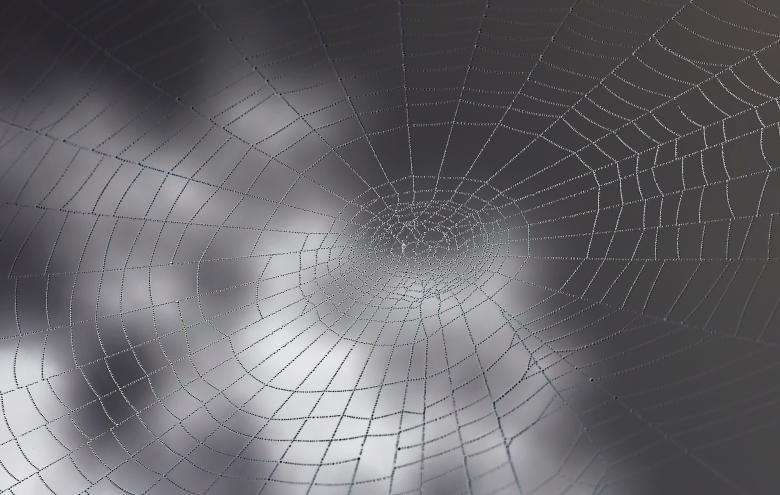 Free stock image of Spider Web created by Pixabay