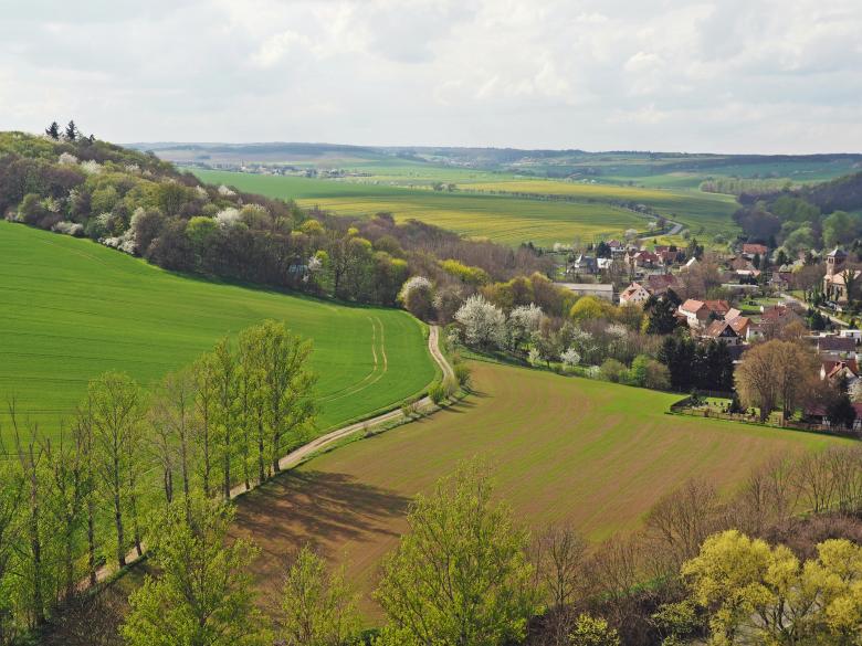 Free stock image of Spring In The Country created by Pixabay