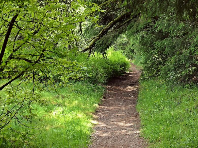 Free stock image of Green Route created by Pixabay