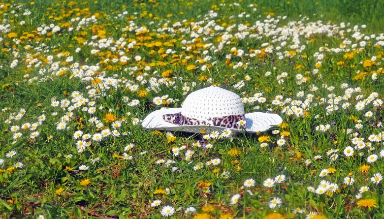 Free stock image of White Hat created by Pixabay