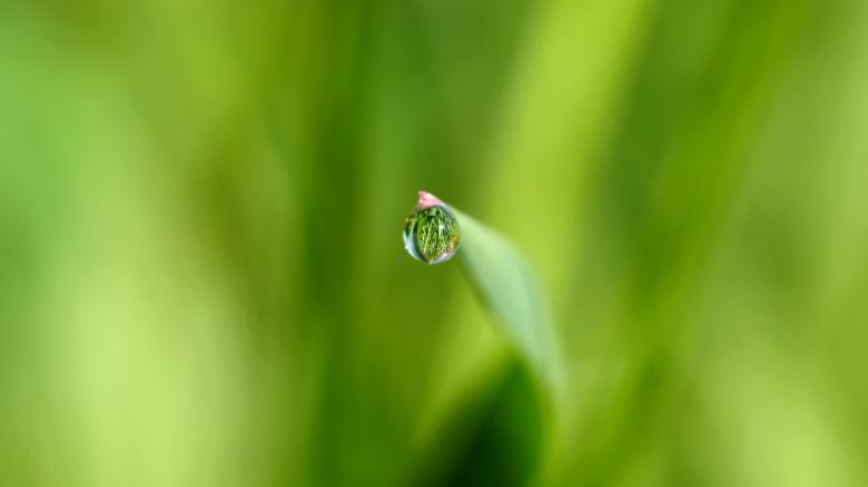 Free stock image of Water Drop created by Pixabay