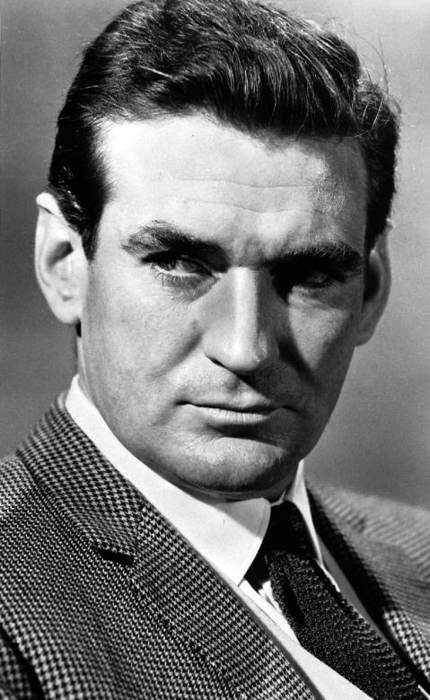 Free stock image of Rod Taylor created by Pixabay