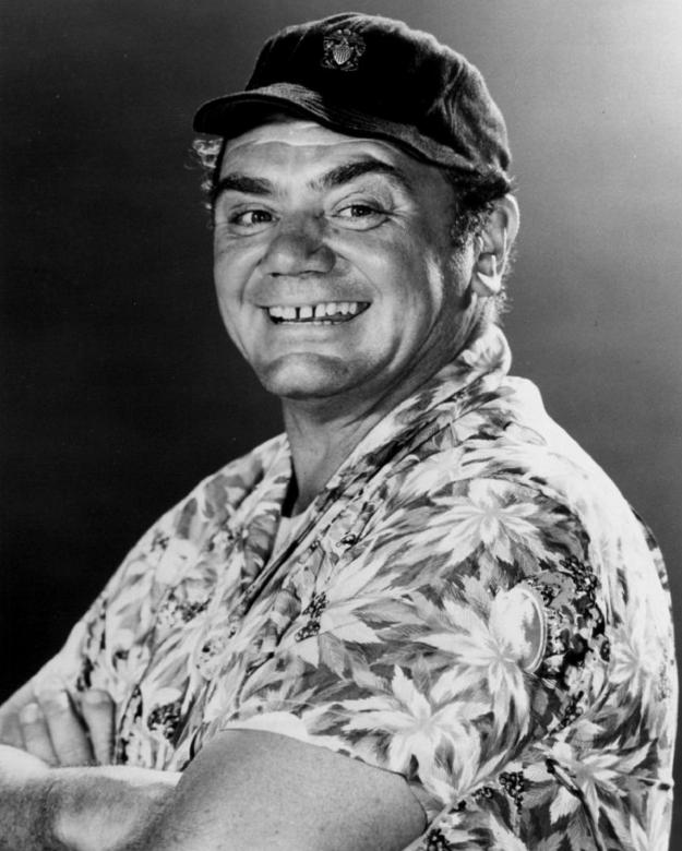 Free stock image of Ernest Borgnine created by Pixabay
