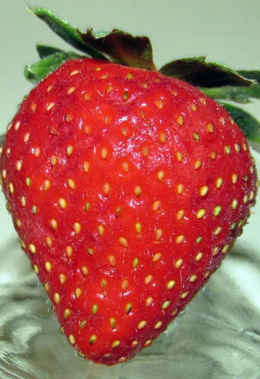 Free stock image of Fresh Strawberry created by Pixabay