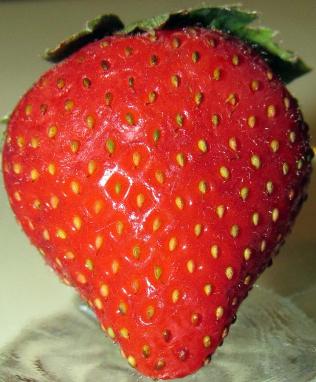 Free stock image of Fresh Strawberry created by Pixabay