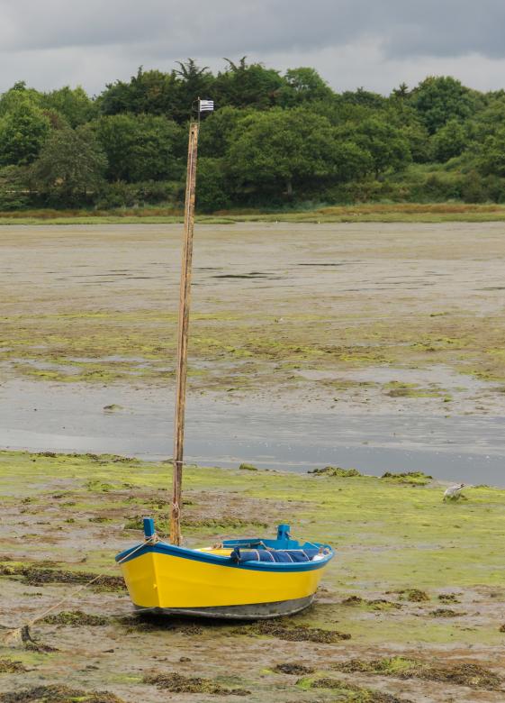 Free stock image of Boat on the Shore created by Pixabay