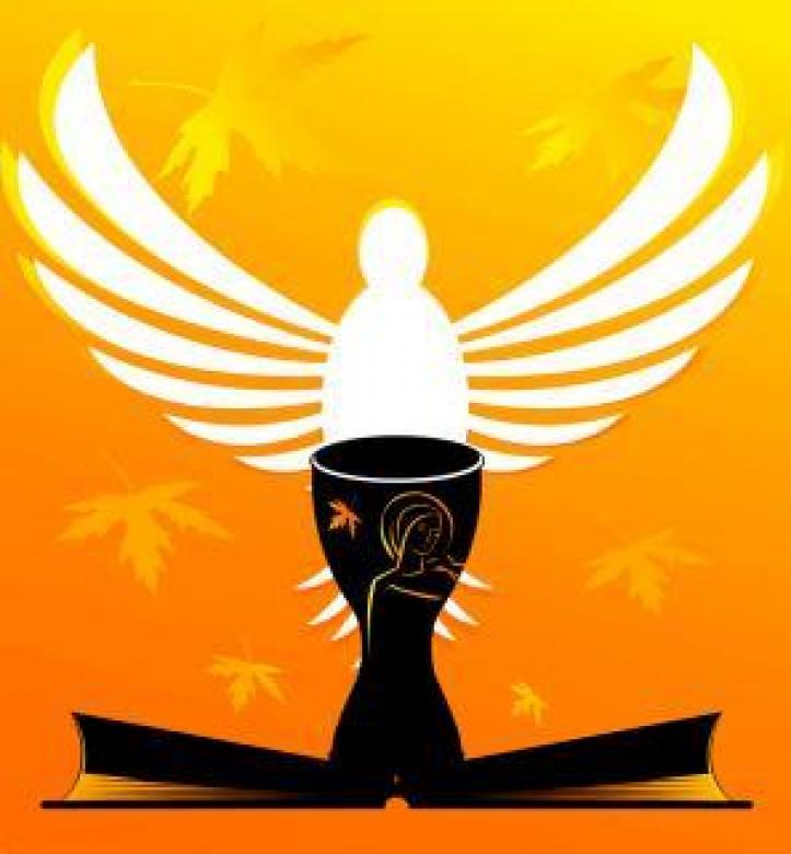 Free stock image of Bird Vector Illustration created by maa illustrations