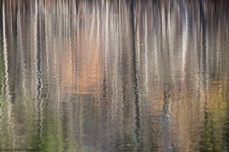 Free stock image of Reflection created by Marie-Claire Côté