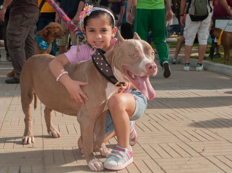 Free stock image of Girl with the Pet created by Pixabay