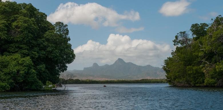 Free stock image of La Restinga created by Pixabay