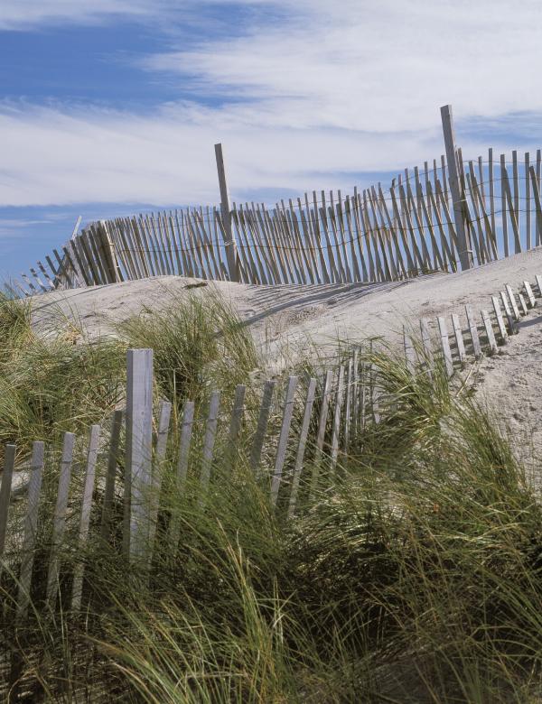 Free stock image of Beach Scene created by Pixabay