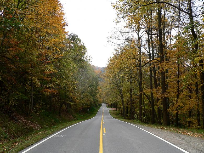 Free stock image of Country Road created by Pixabay