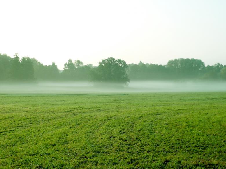 Free stock image of Foggy created by Pixabay