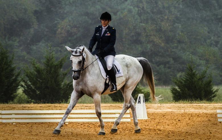 Free stock image of Horse Rider created by Pixabay
