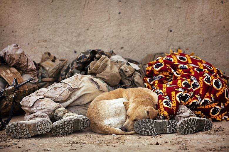 Free stock image of Soldiers Resting created by Pixabay