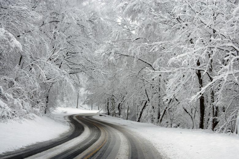 Free stock image of Frozen created by Pixabay