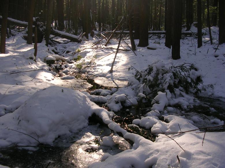 Free stock image of Winter created by Pixabay