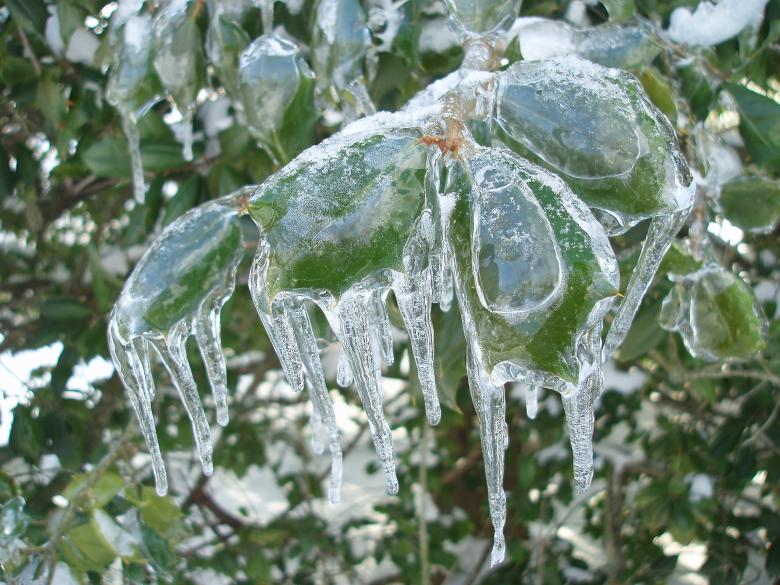 Free stock image of Frozen created by Pixabay
