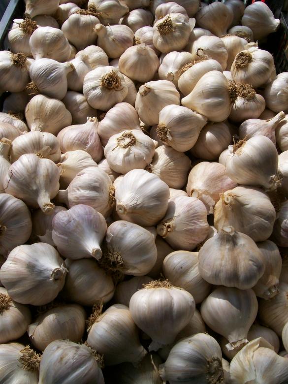 Free stock image of Garlic Basket created by Pixabay