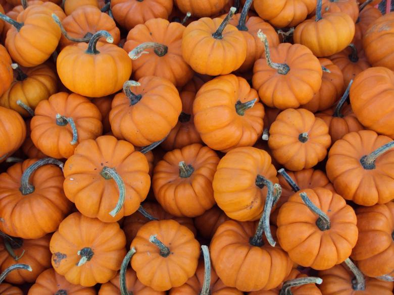 Free stock image of Small Pumpkins created by Pixabay