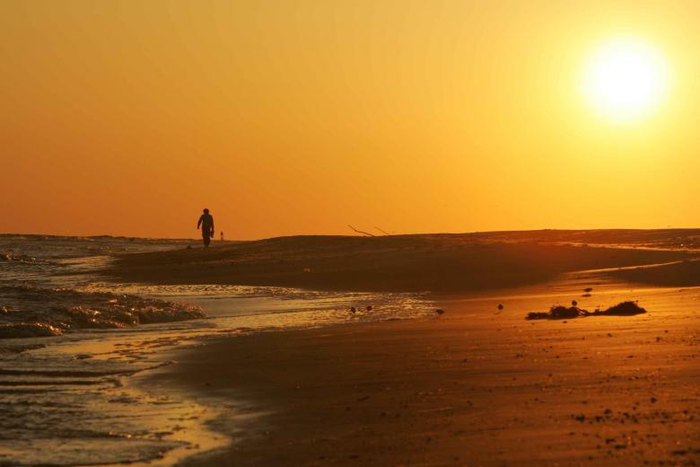 Free stock image of Solitary Beach Person created by Pixabay