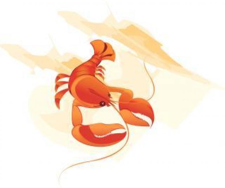 Free stock image of Lobster Vector Illustration created by maa illustrations