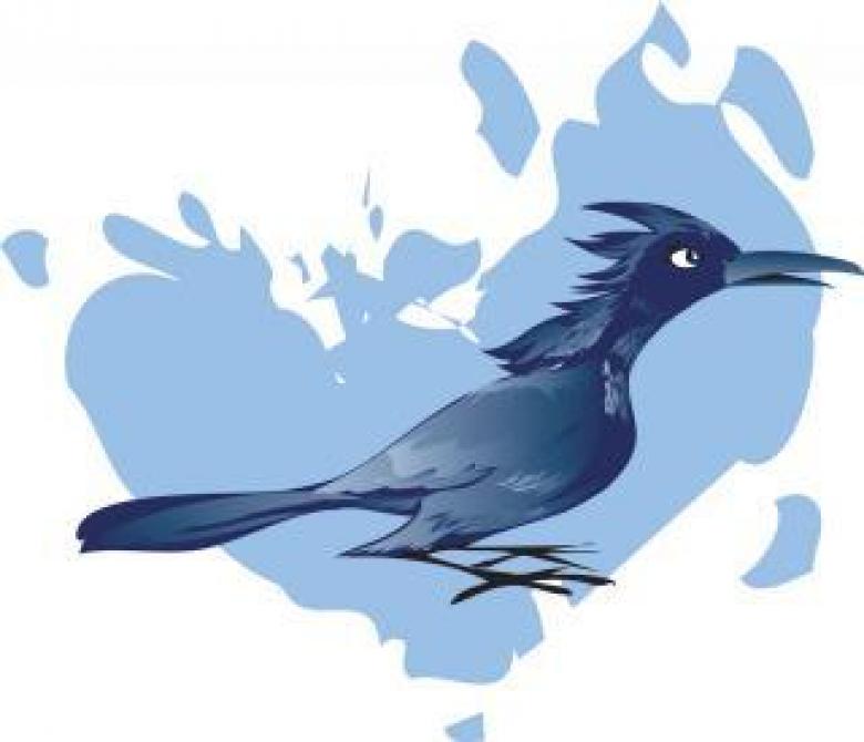 Free stock image of Blue Bird Vector Illustration created by maa illustrations