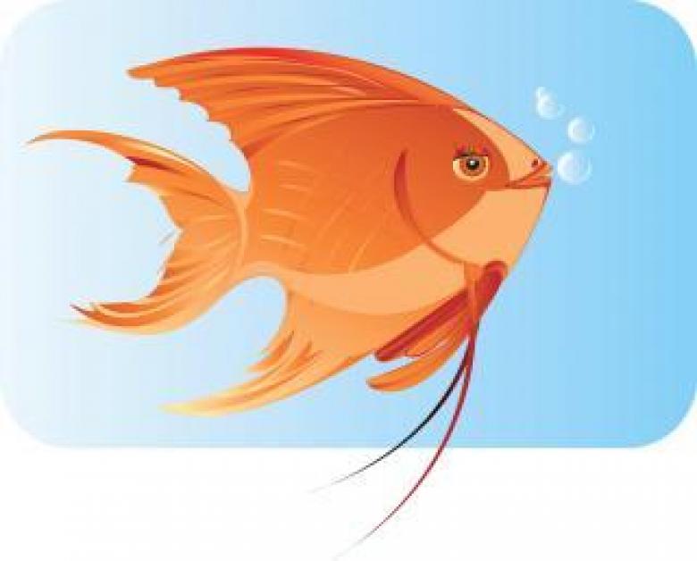 Free stock image of Fish Underwater - Vector Illustration created by maa illustrations