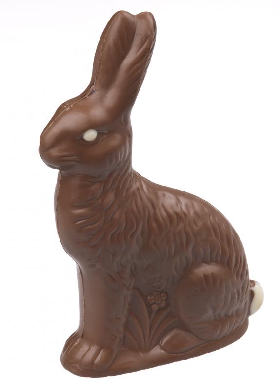 Free stock image of Choco Bunny created by Pixabay