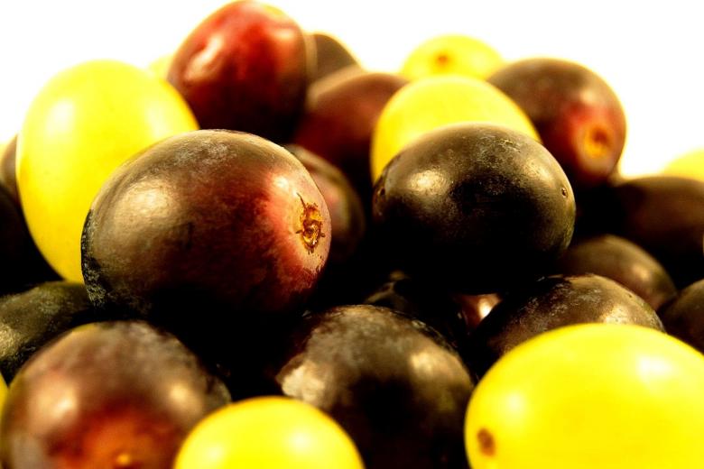 Free stock image of Fresh Grapes created by Pixabay