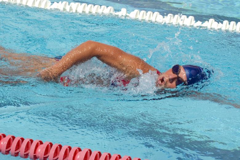Free stock image of Swimmer in the Pool created by Pixabay