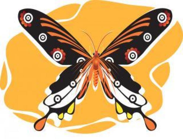 Free stock image of Butterfly Illustration created by maa illustrations