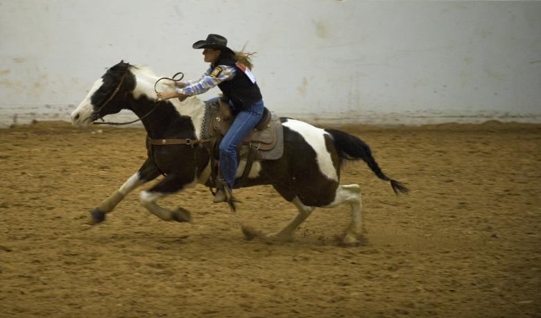 Free stock image of Horse Rider created by Pixabay