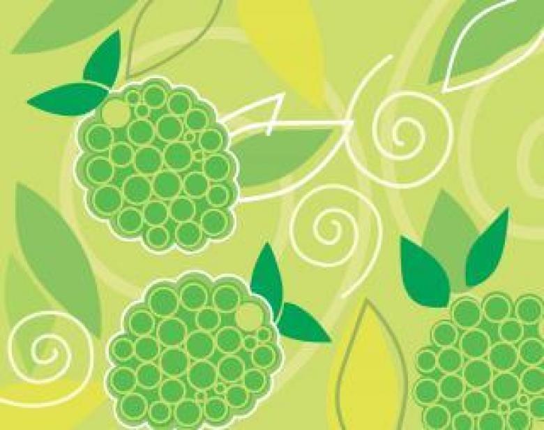 Free stock image of Grapes Vector Background created by maa illustrations