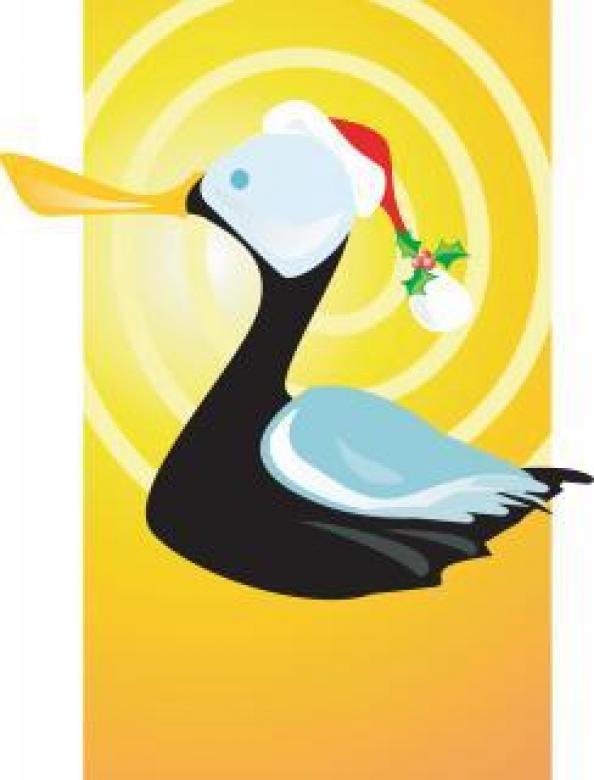 Free stock image of Christmas Duck Illustration created by maa illustrations