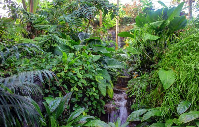 Free stock image of Botanical Garden created by Pixabay