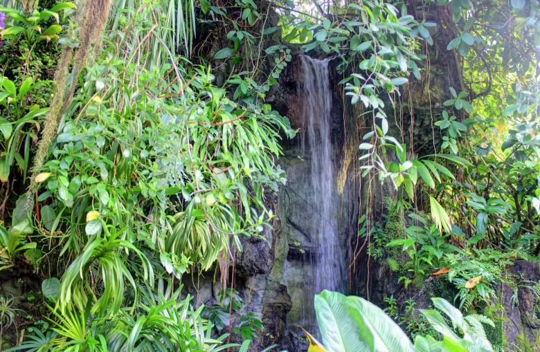 Free stock image of Botanical Garden created by Pixabay