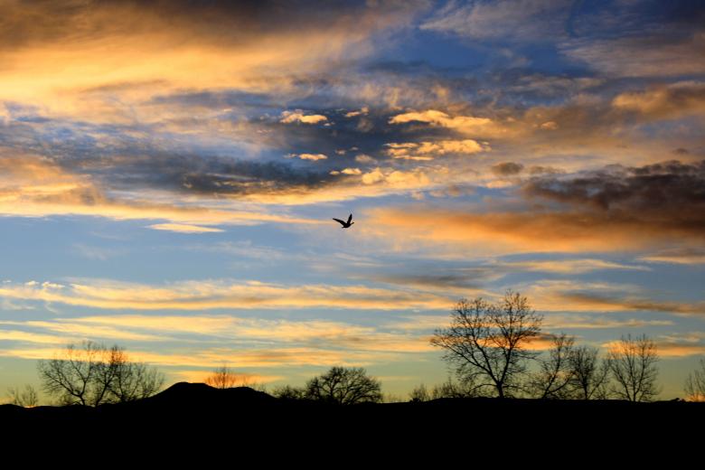 Free stock image of Sunset created by Pixabay
