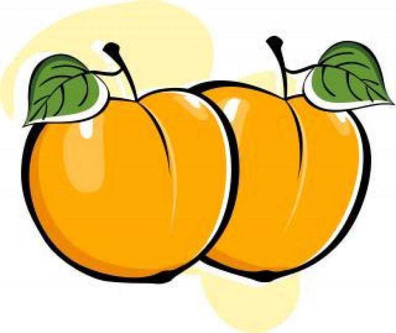 Free stock image of Peach Vector Illustration created by maa illustrations