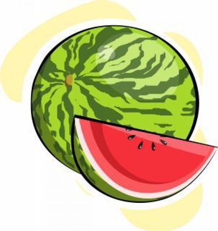 Free stock image of Watermelon Vector Illustration created by maa illustrations