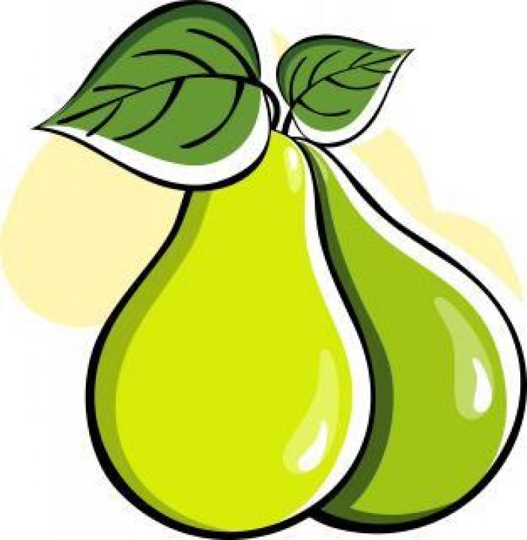 Free stock image of Vector Pears Illustration created by maa illustrations
