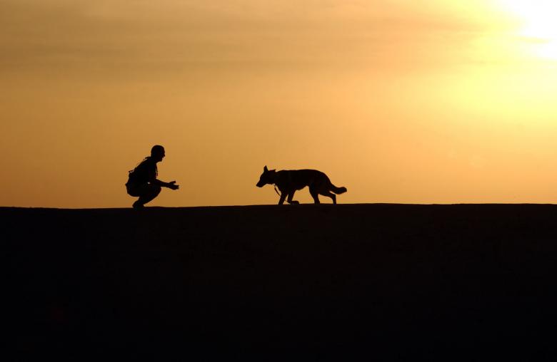 Free stock image of Loyal Dog created by Pixabay