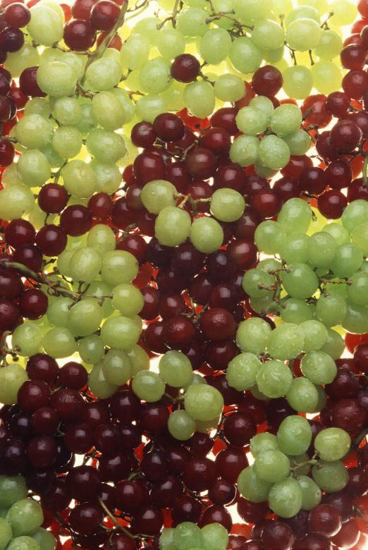 Free stock image of Fresh Grapes created by Pixabay