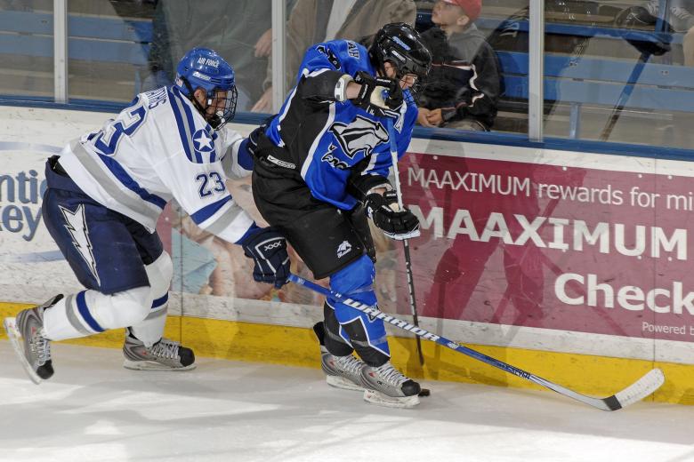 Free stock image of Ice Hockey created by Pixabay