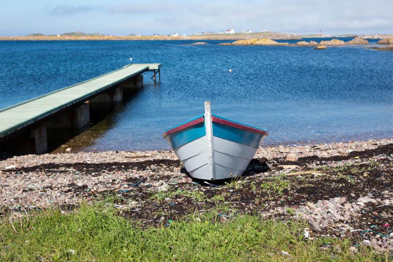 Free stock image of Dory created by Geoffrey Whiteway