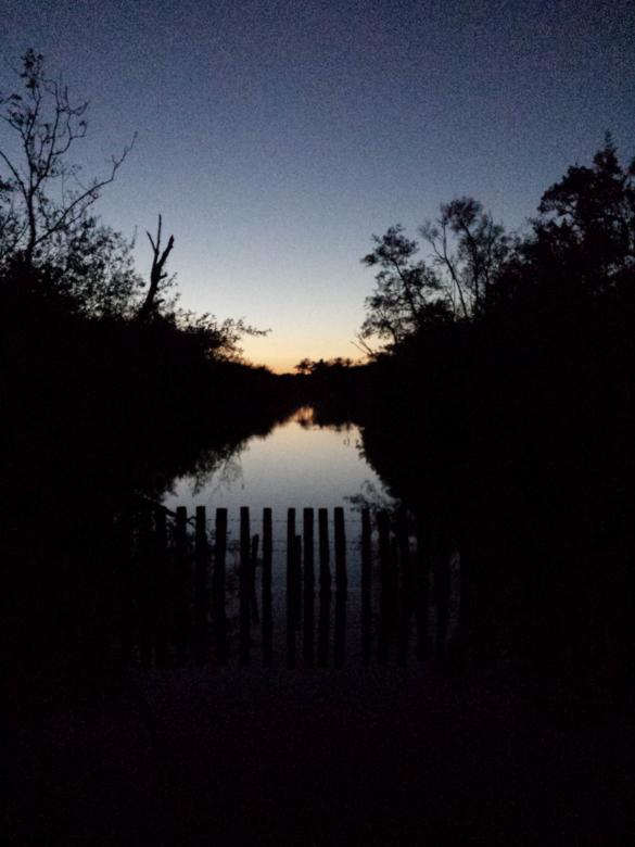 Free stock image of Sunset river scene created by terry robinson