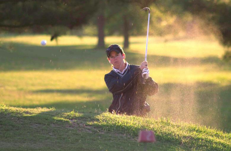 Free stock image of Playing Golf created by Pixabay